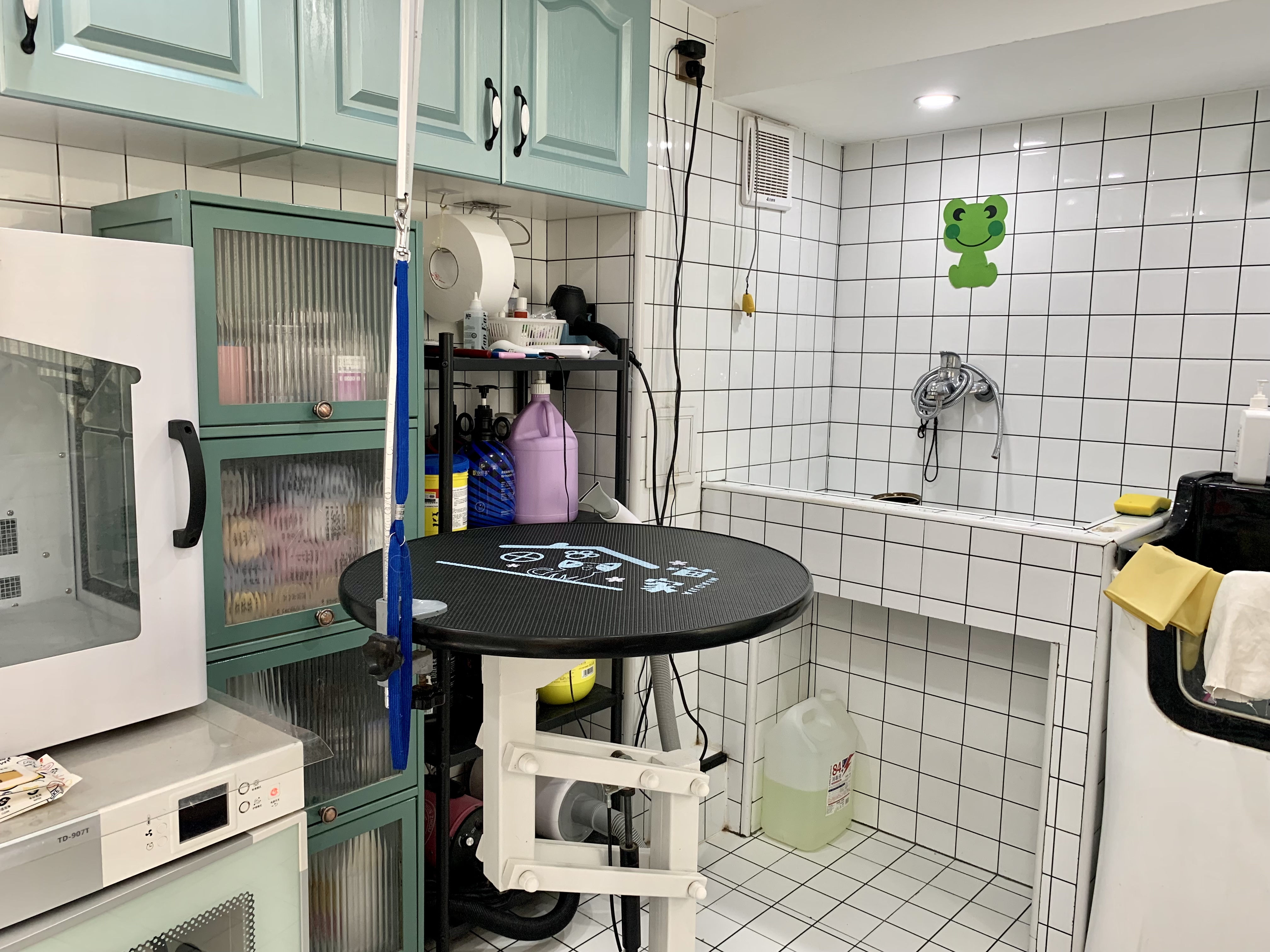性价比高 宠物店转让 宠物寄养酒店 可做猫咖