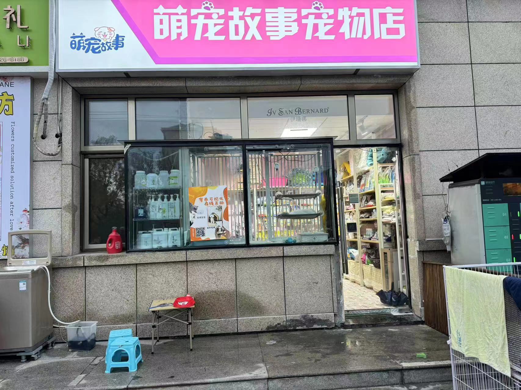 宠物店转让 老店生意稳定
