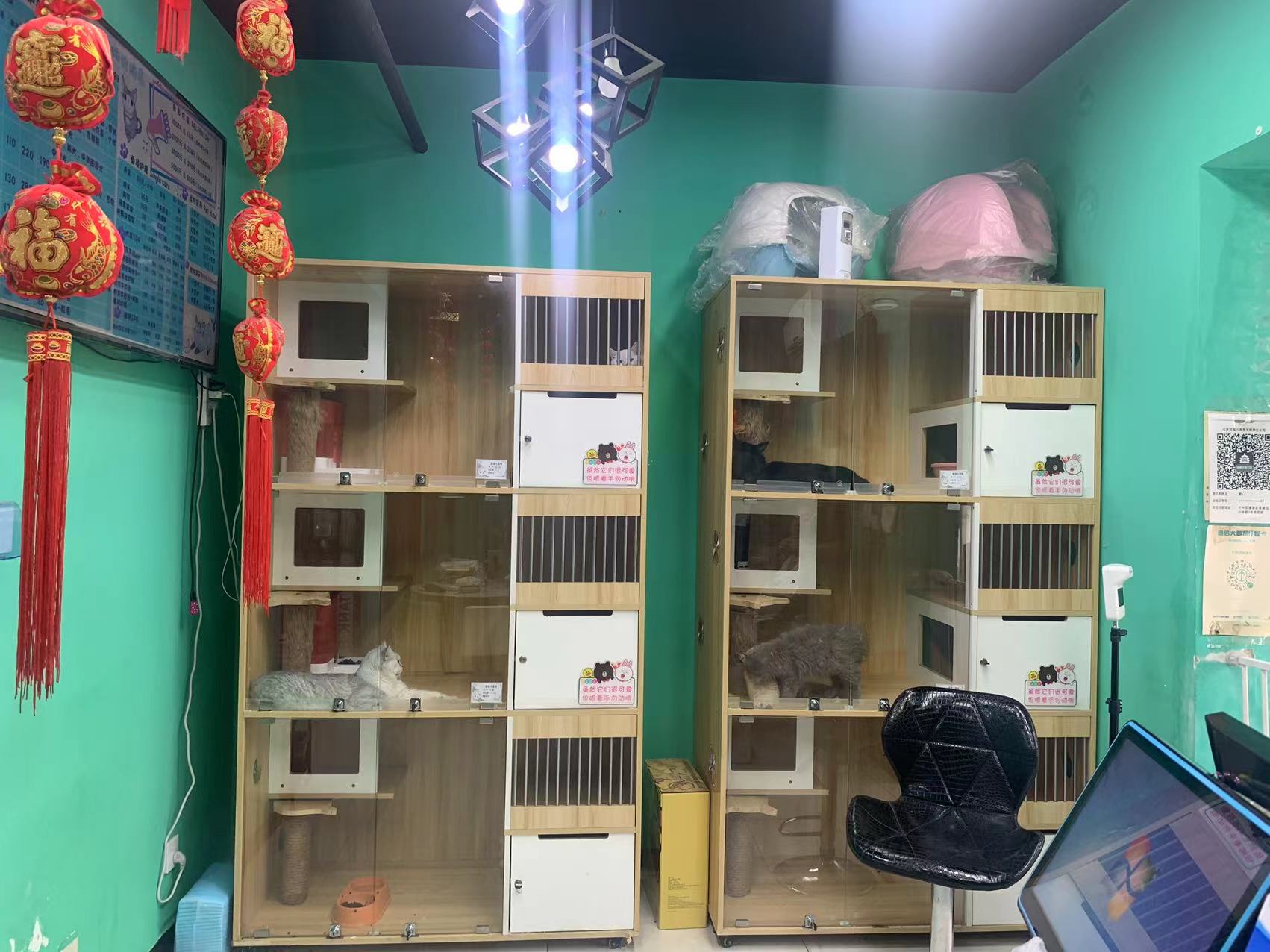 临街 多年宠物店 整店转让 社区底商 流水高
