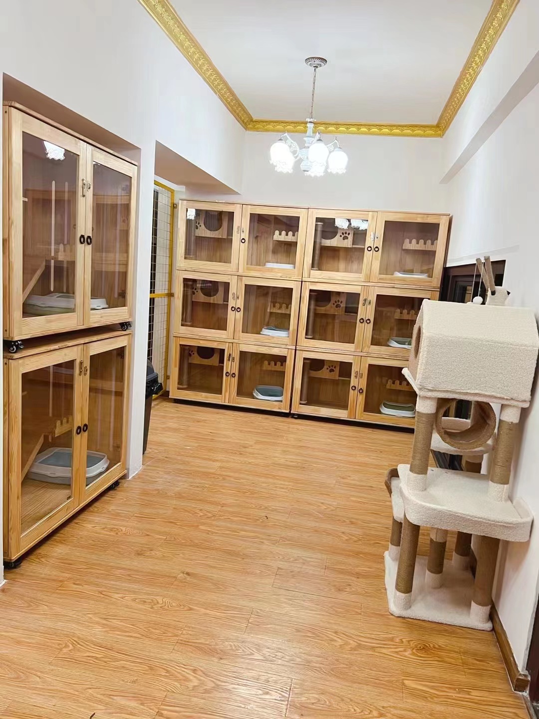 金牛区金府路高端宠物店转让