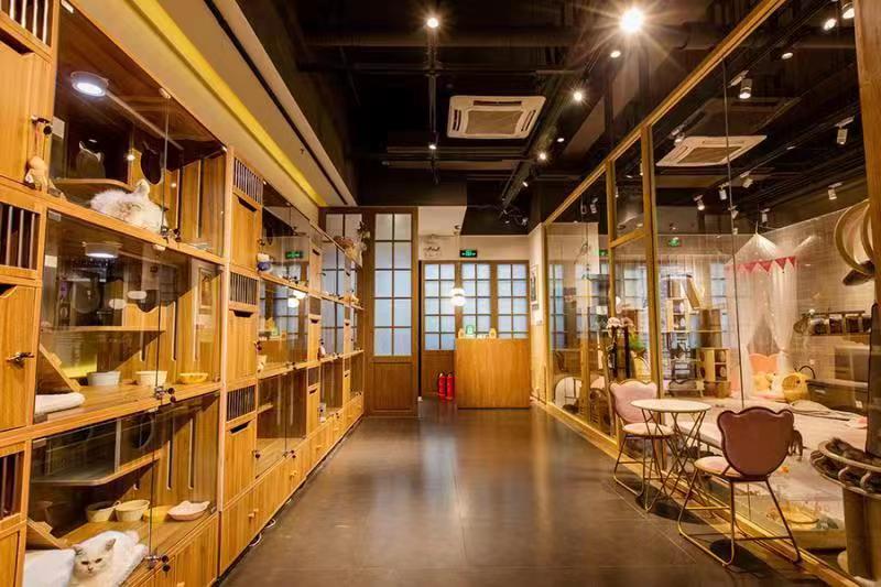 D丰台万达金街166平宠物店转让