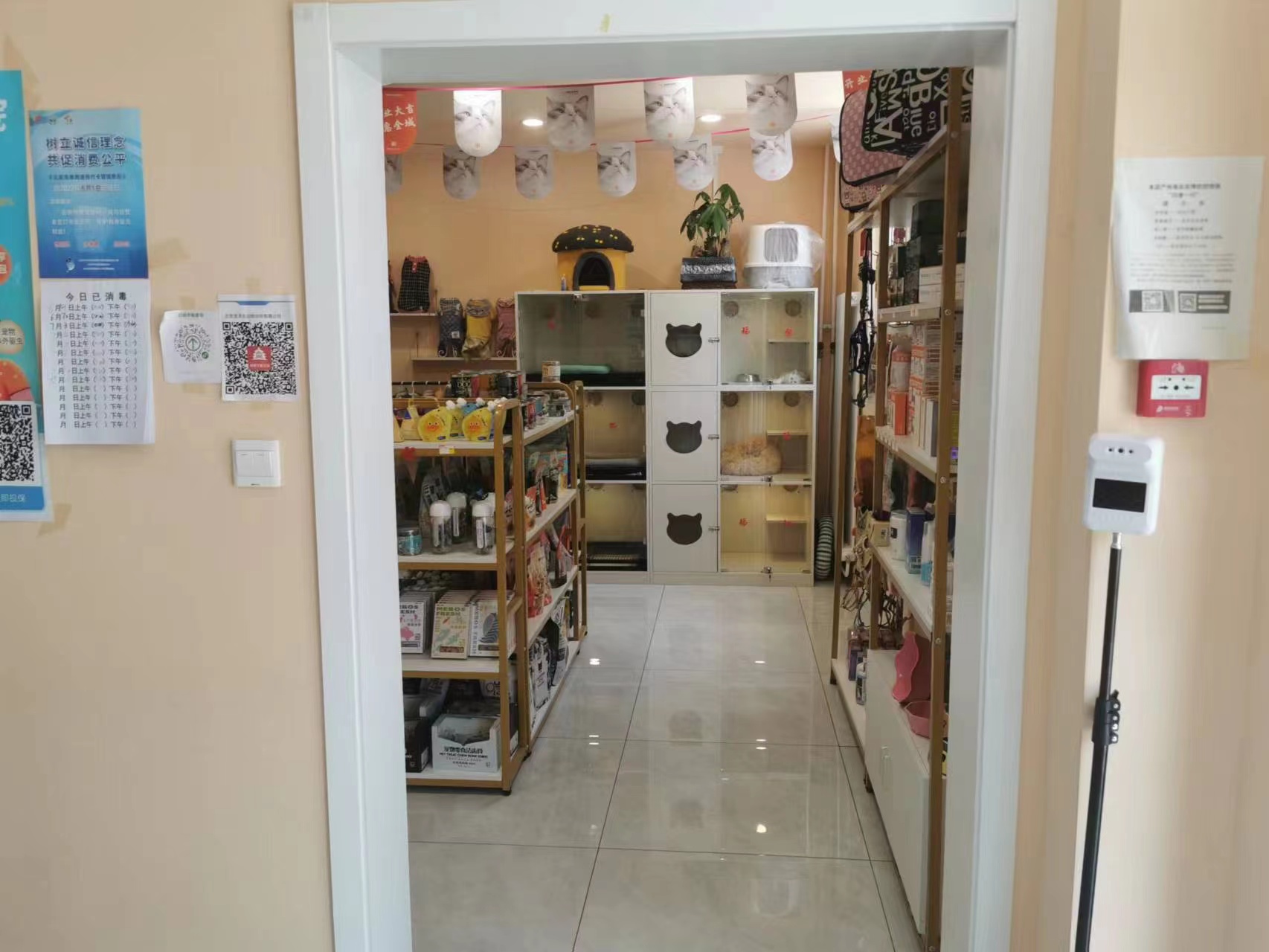 临街宠物店转让 宠物美容店转让 宠物寄养店转让