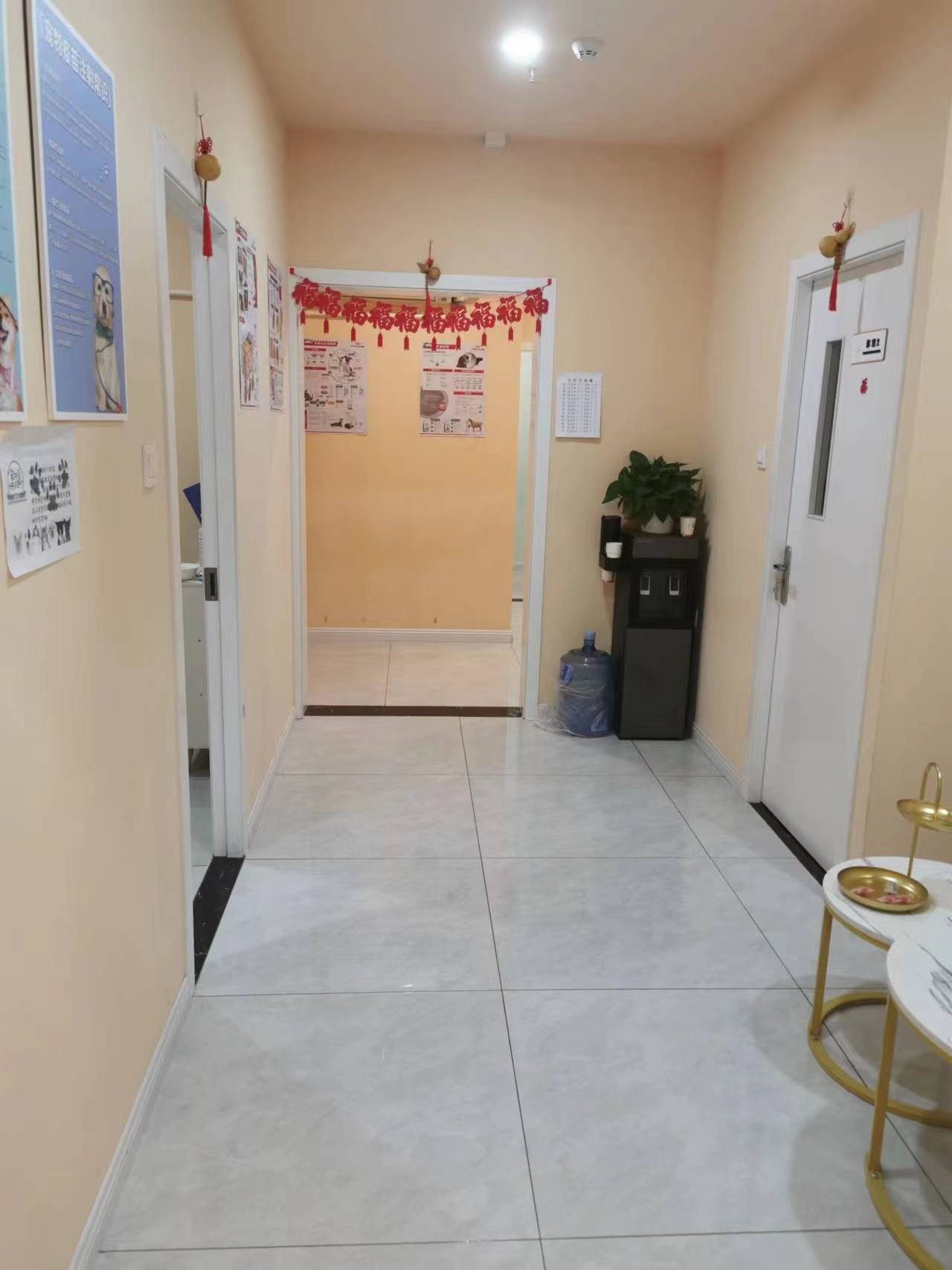 临街宠物店转让 宠物美容店转让 宠物寄养店转让