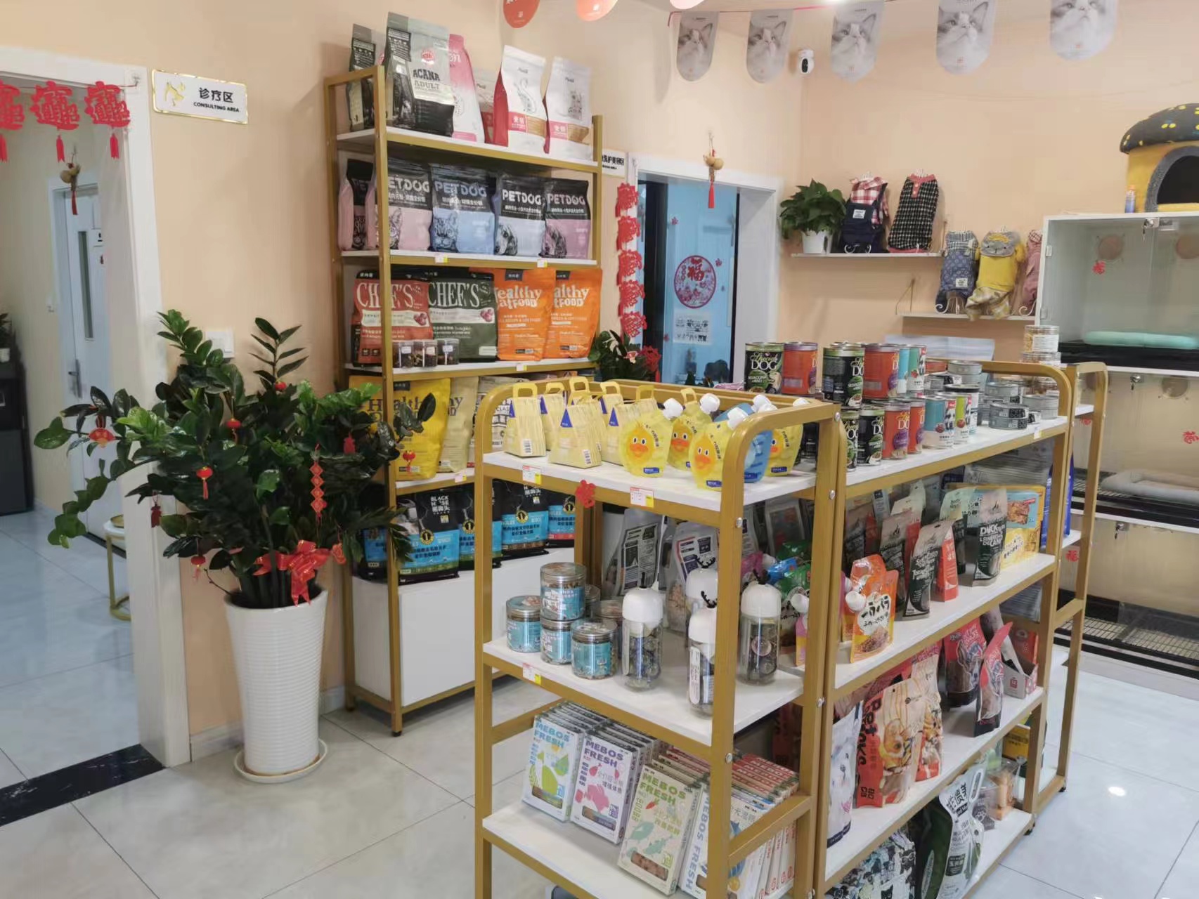 临街宠物店转让 宠物美容店转让 宠物寄养店转让