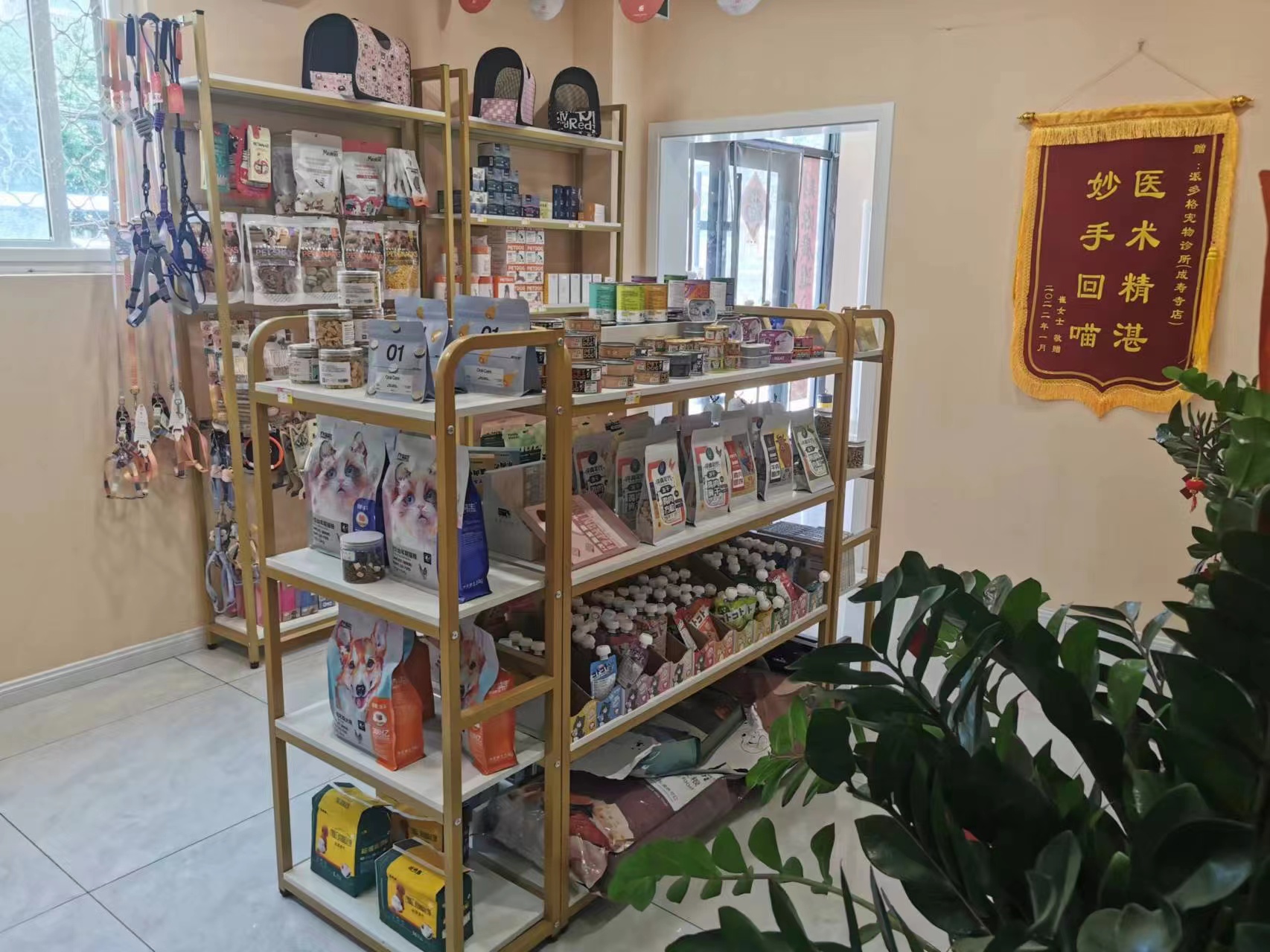 临街宠物店转让 宠物美容店转让 宠物寄养店转让