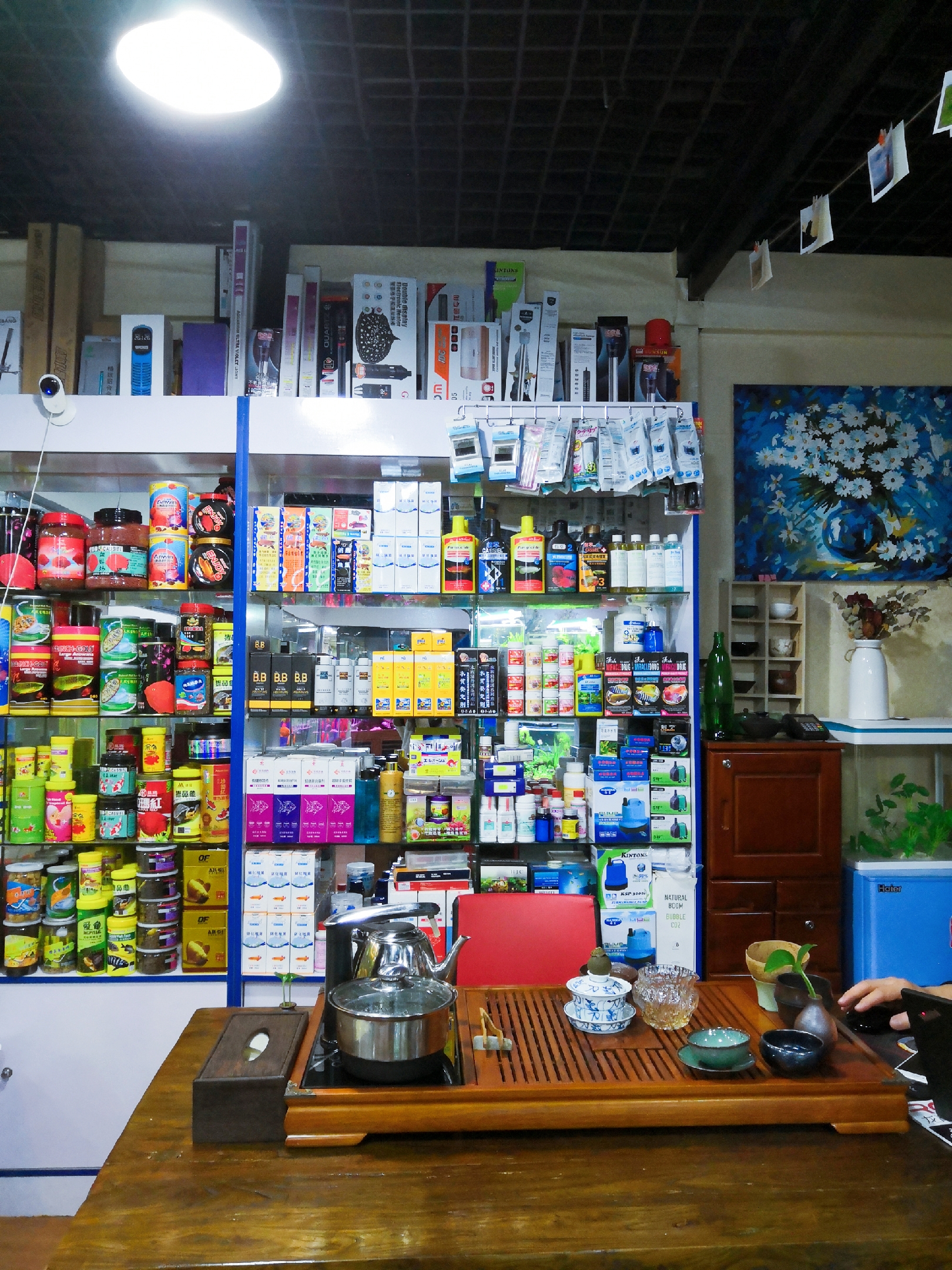 朝阳区青年路水族馆观赏鱼店铺转让，15年老店