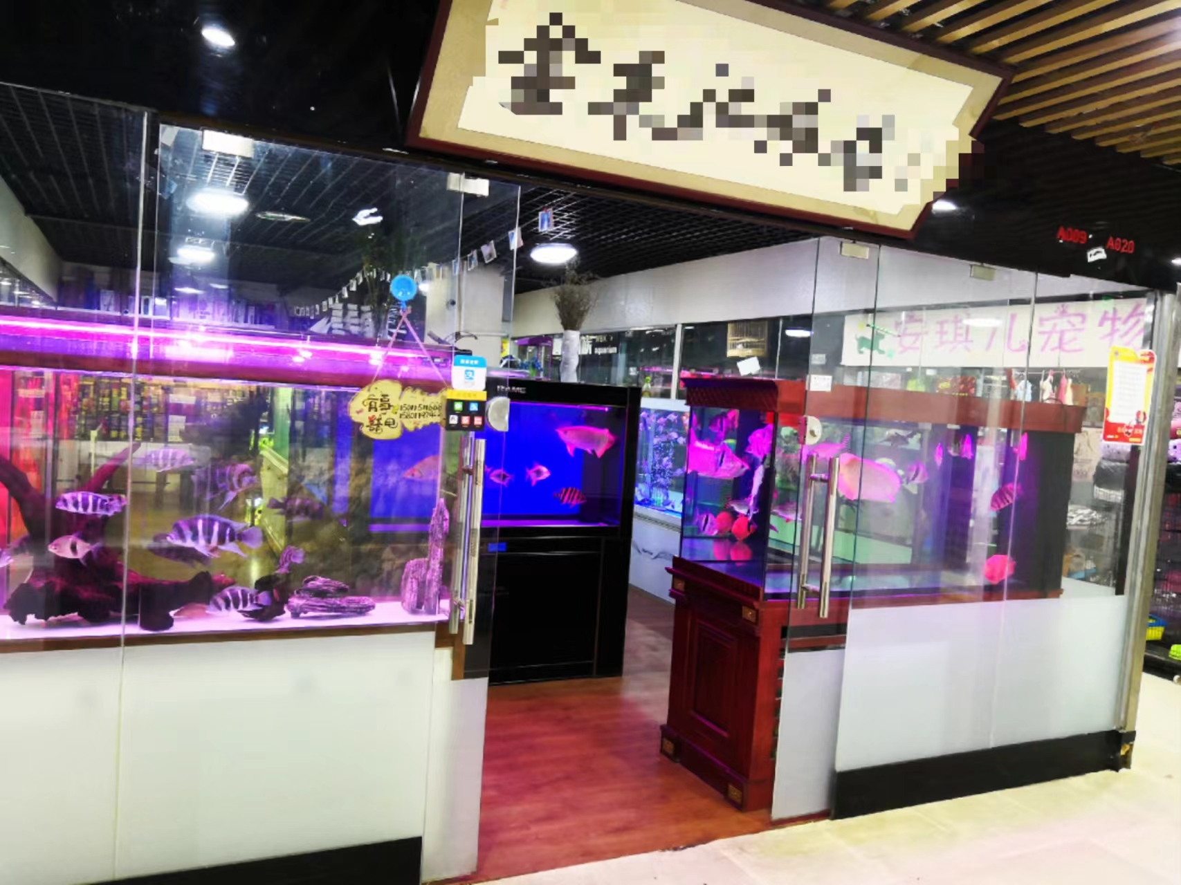 朝阳区青年路水族馆观赏鱼店铺转让，15年老店