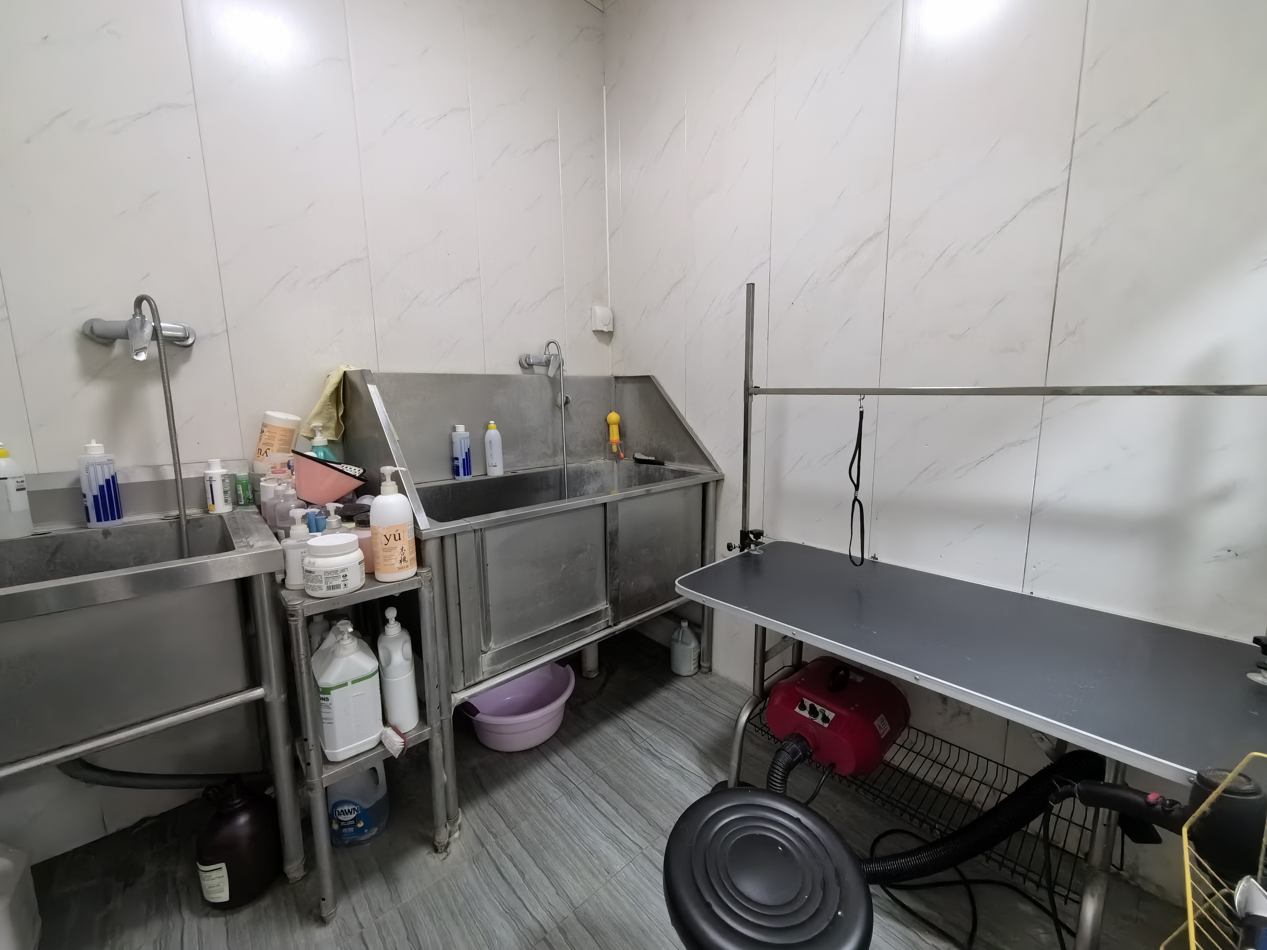 宠物店 转让 经营5年的老店