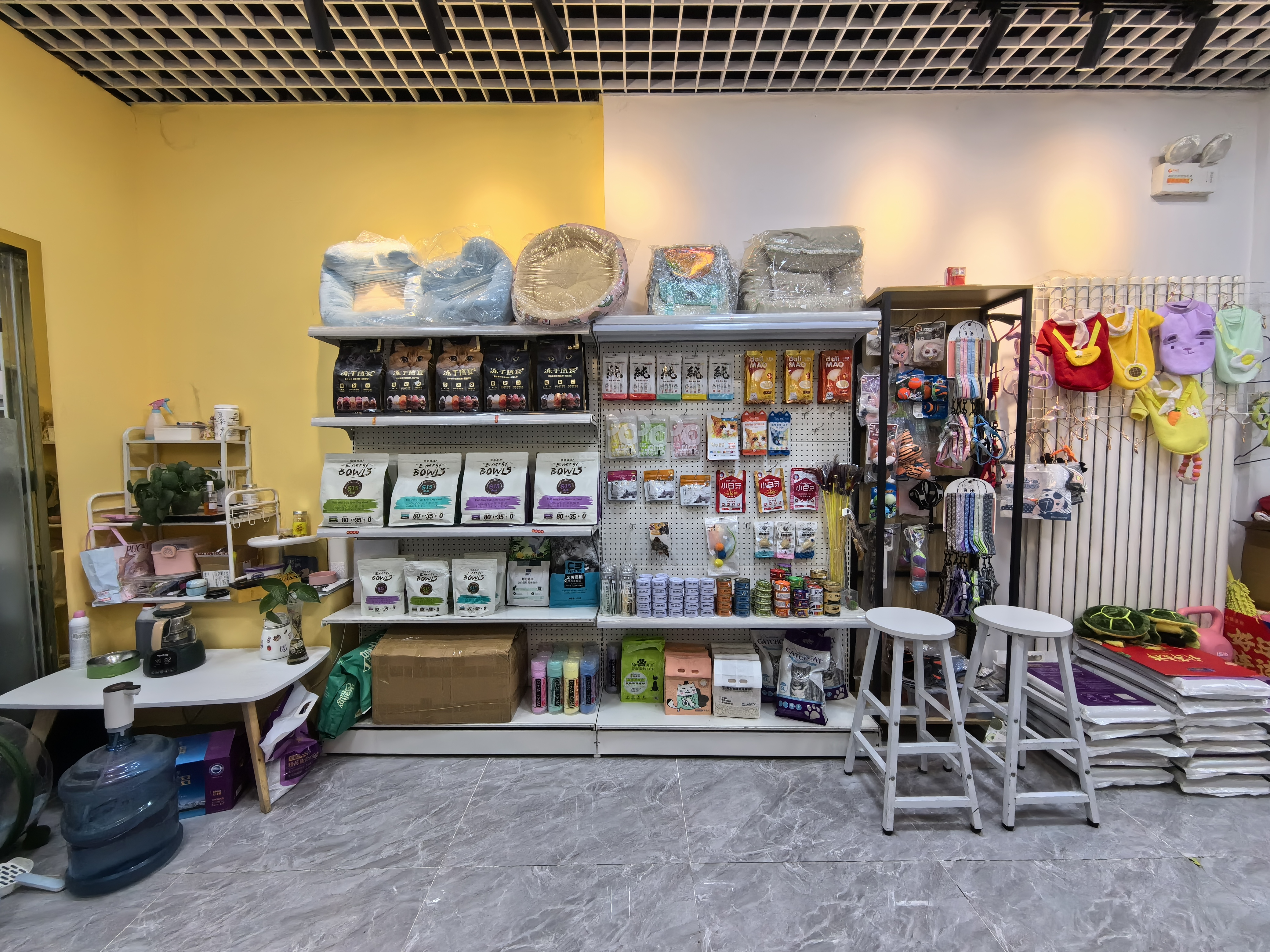 宠物店 转让 经营5年的老店