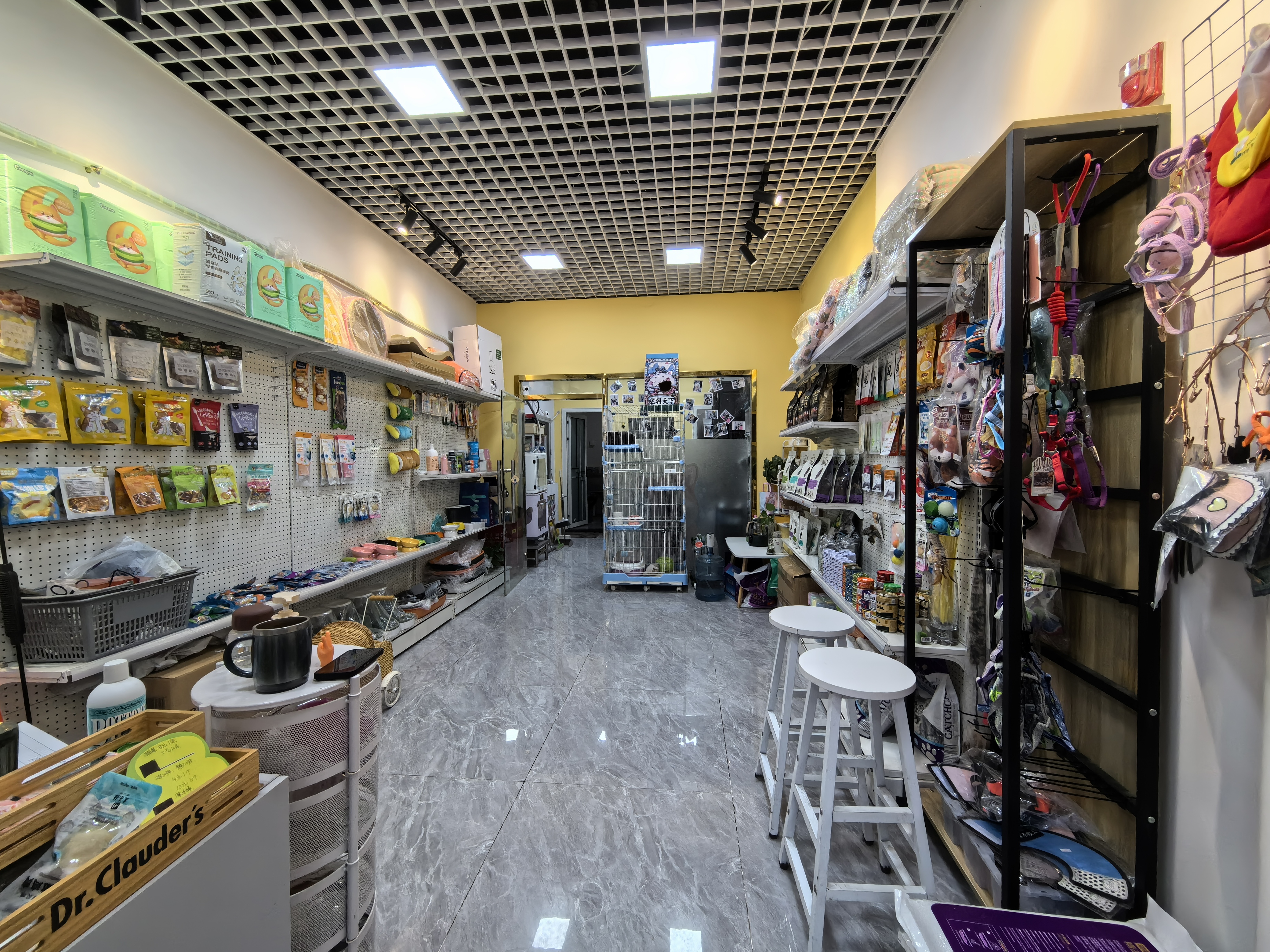 宠物店 转让 经营5年的老店