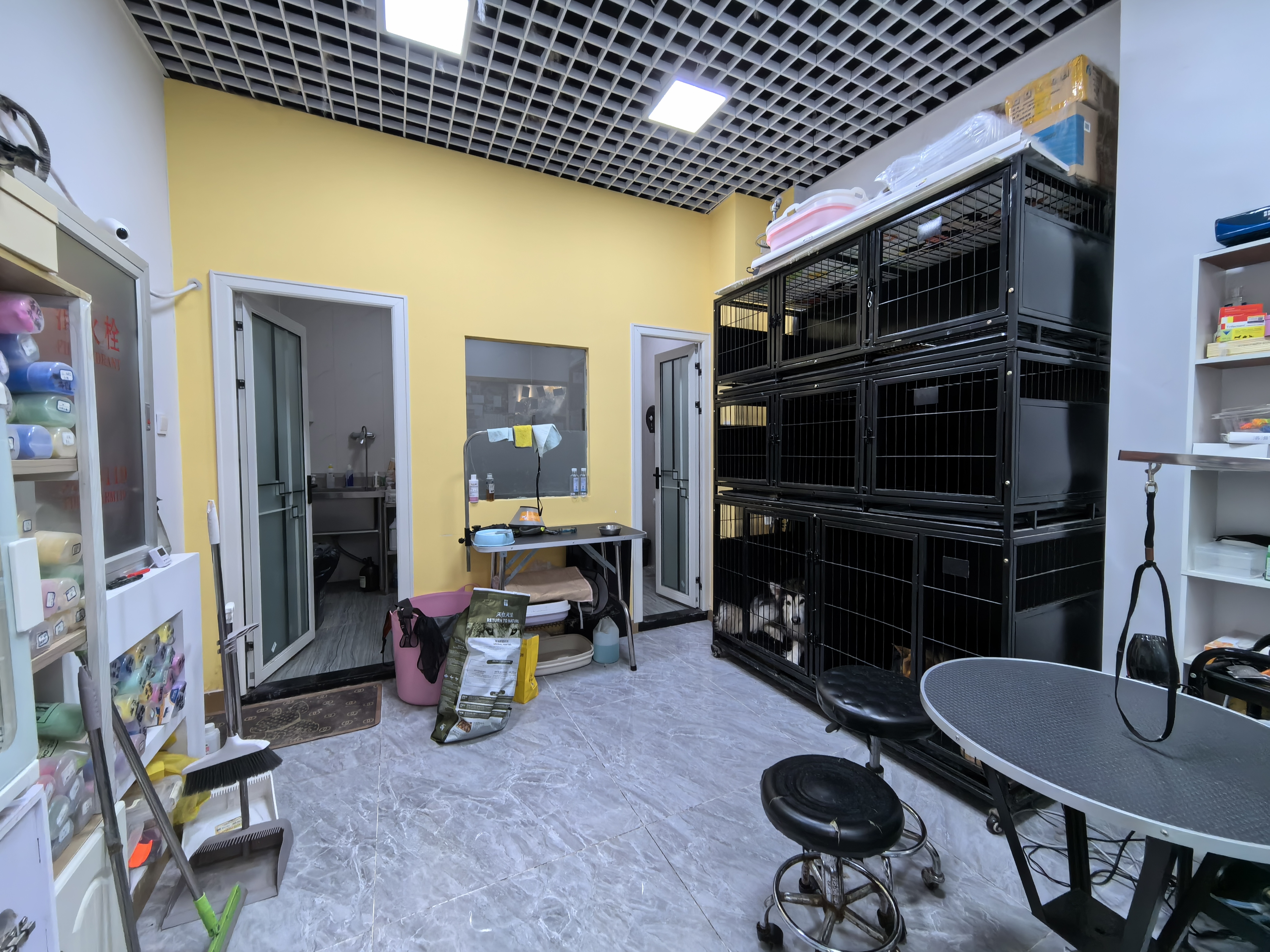 宠物店 转让 经营5年的老店