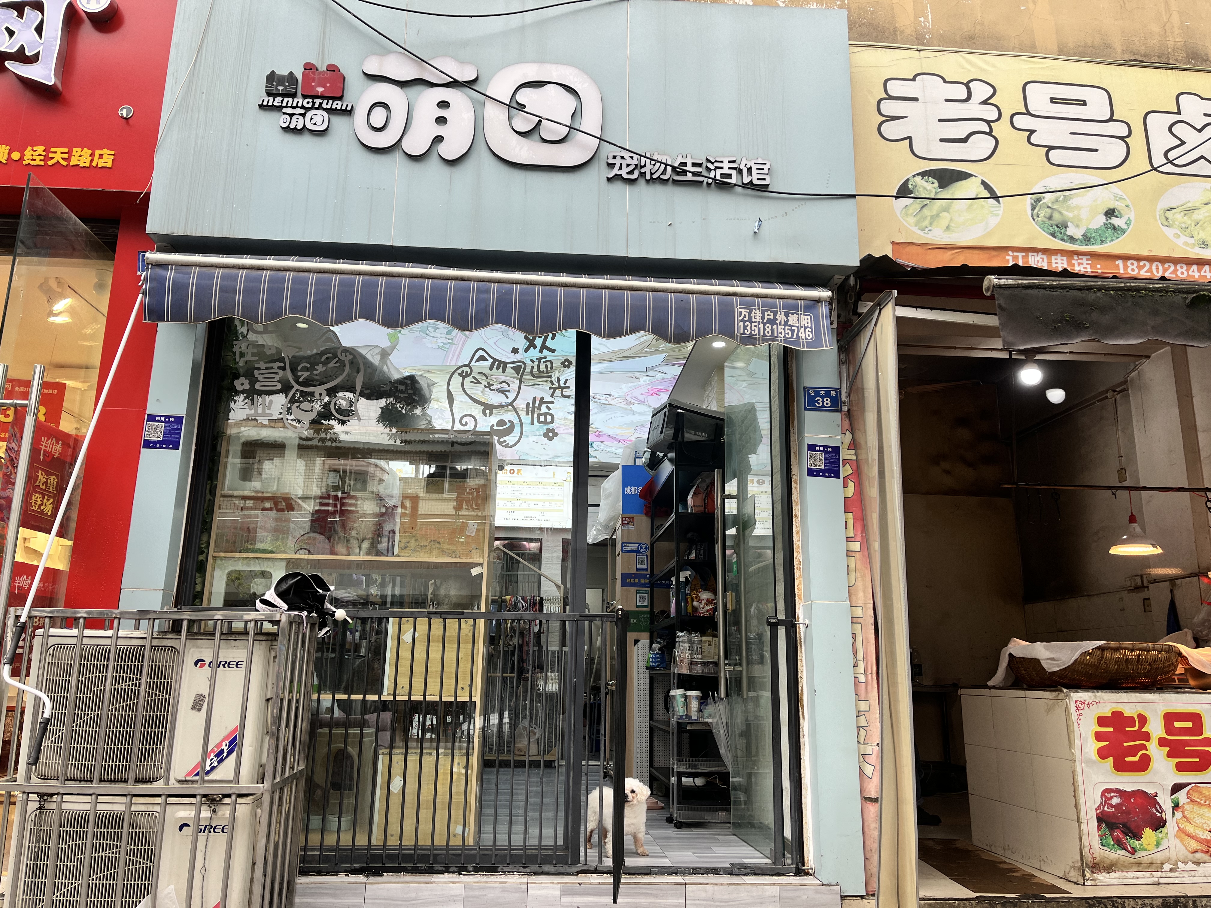 锦江区经天路经营三年多宠物店转让