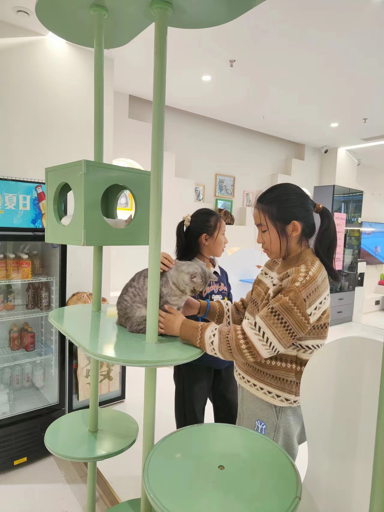 昌平回龙观宠物店空转  美容美发零售可做  无转让费