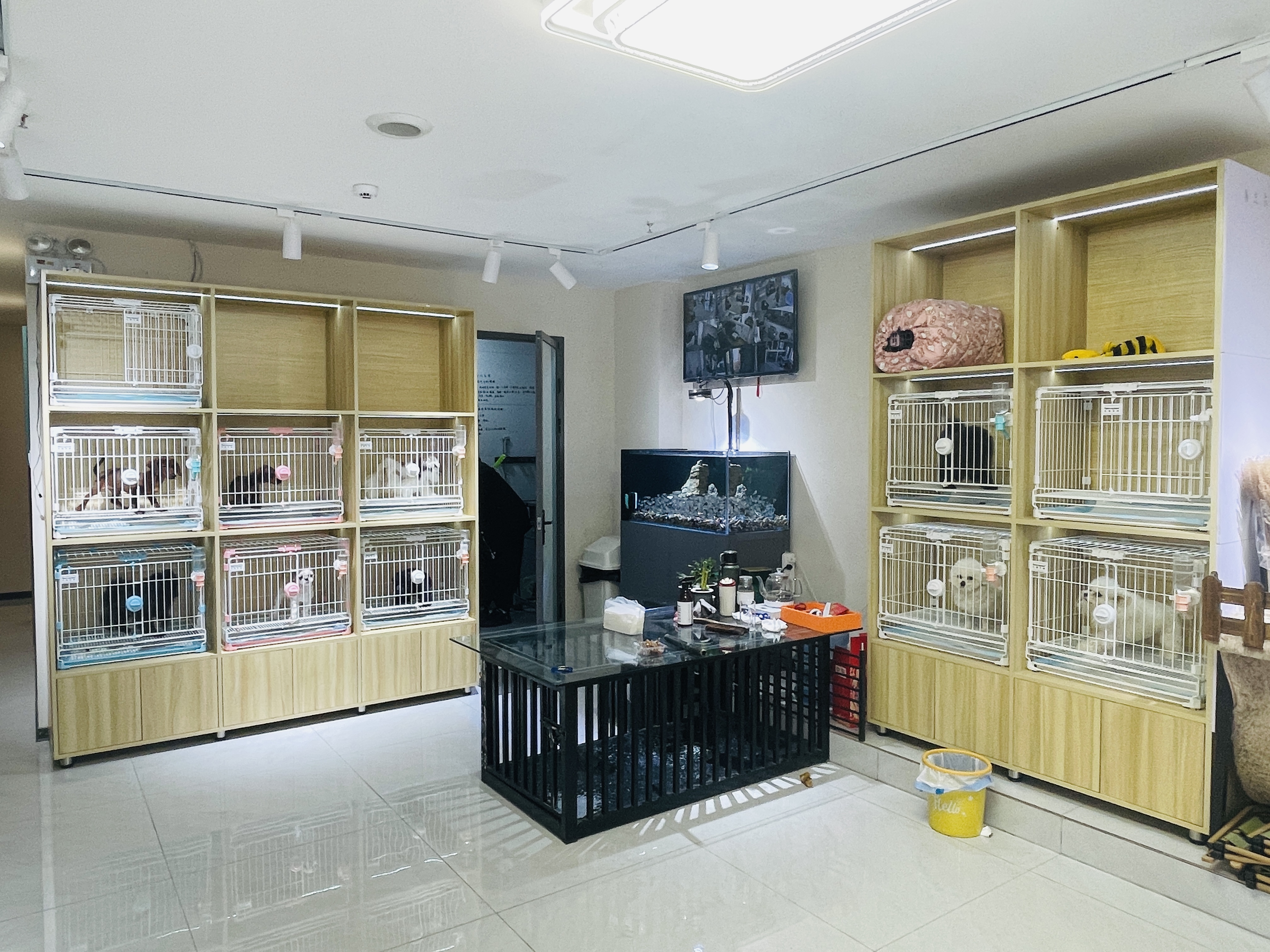D石景山120平宠物店整店转让商圈好 洗澡美容寄养