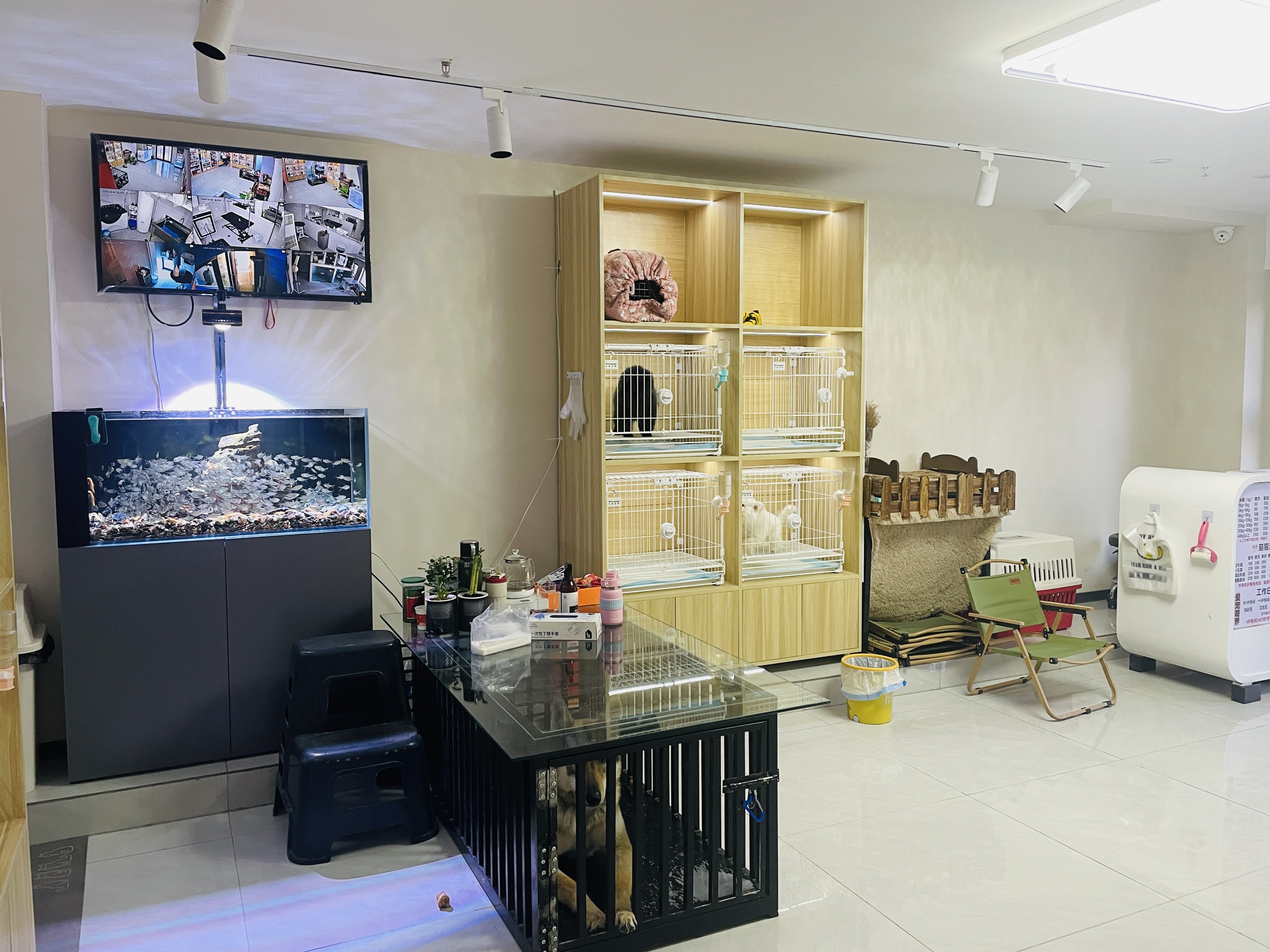 D石景山120平宠物店整店转让商圈好 洗澡美容寄养