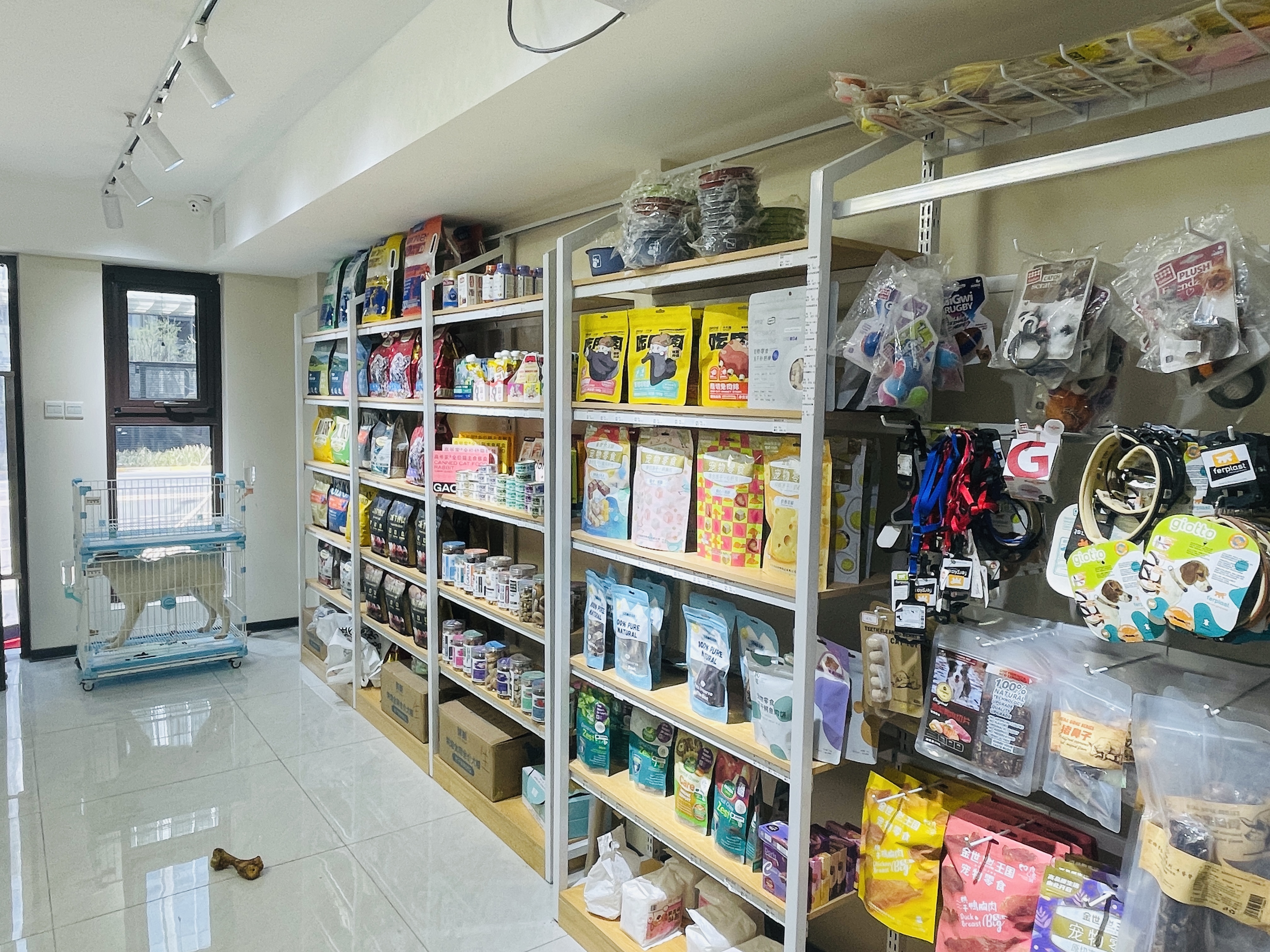 D石景山120平宠物店整店转让商圈好 洗澡美容寄养