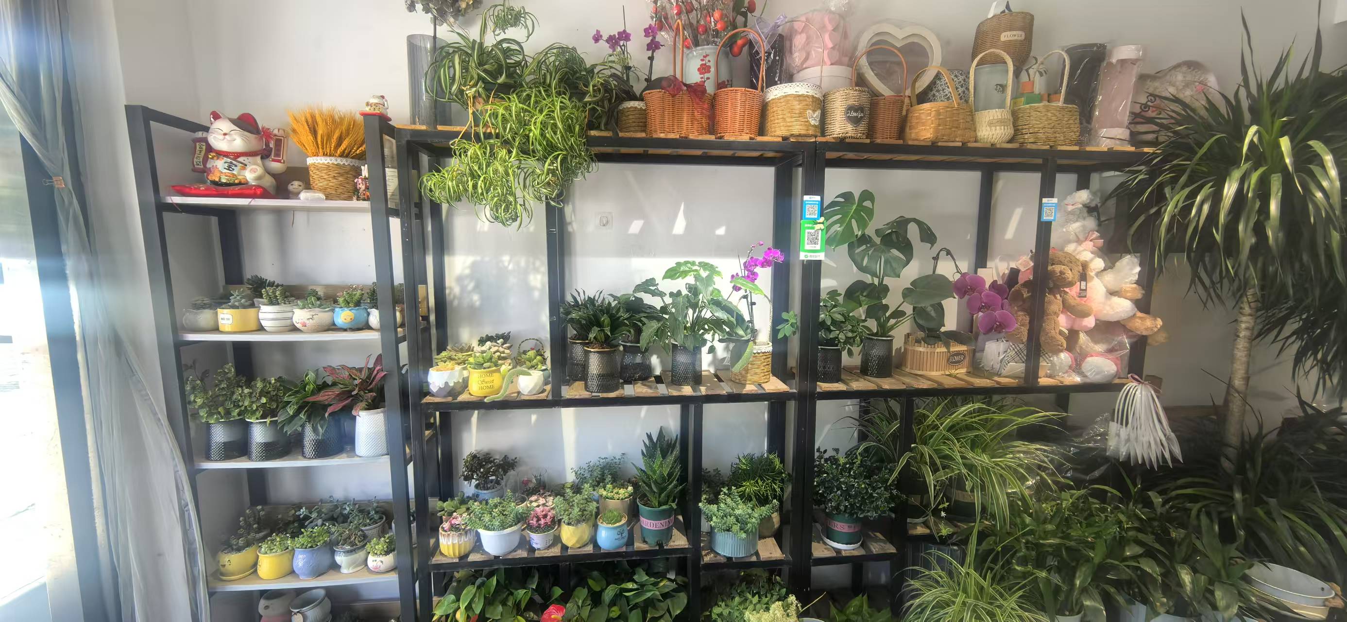 首经贸大学对面鲜花店转让