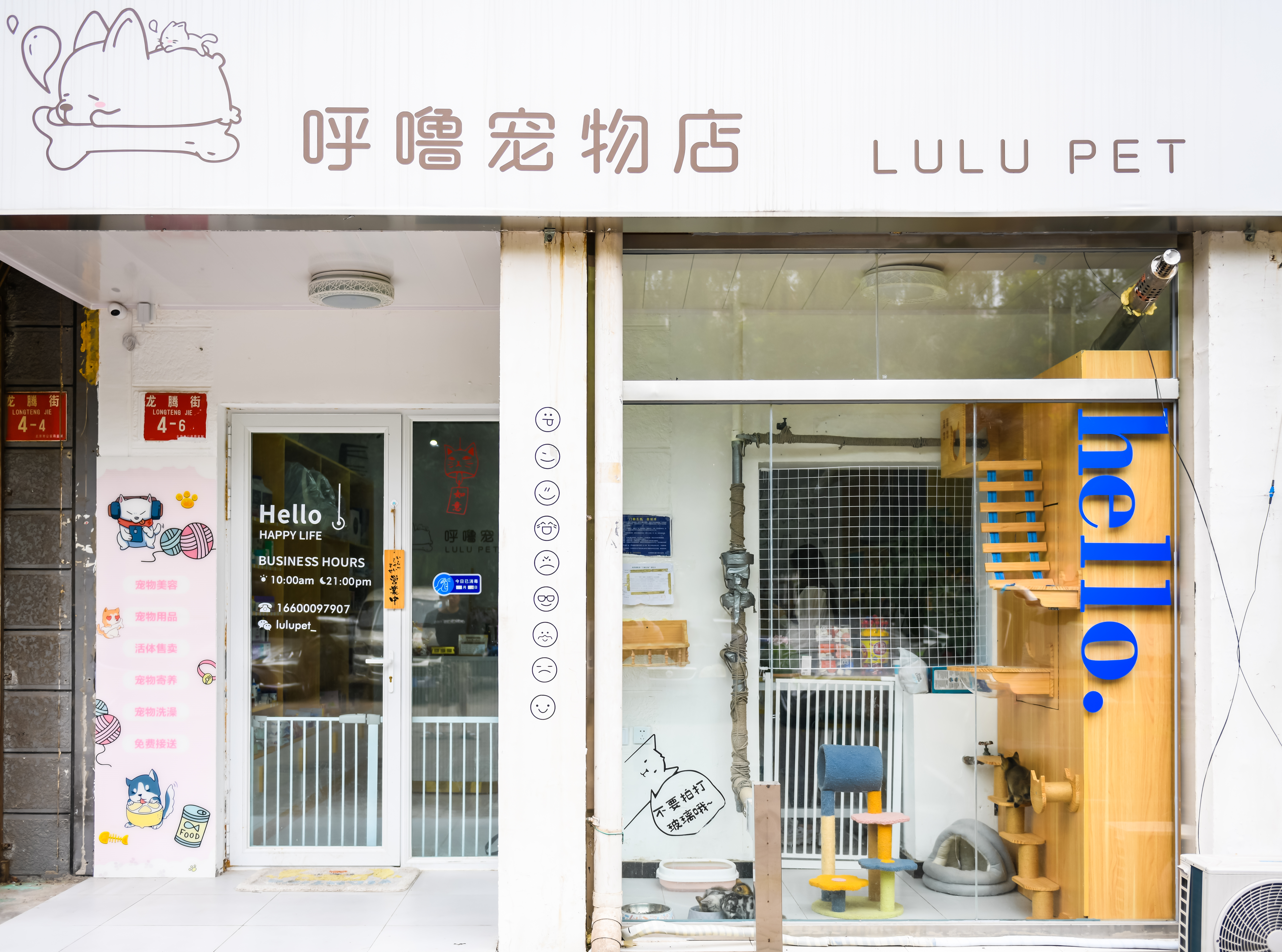 底商临街展示面大集精装修设备齐全宠物店转让